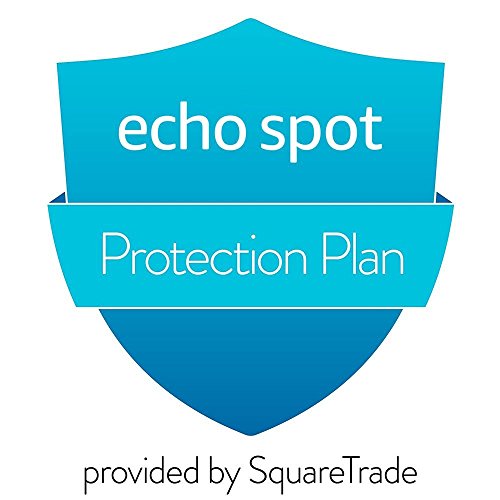 3-Year Accident Protection for Echo Spot