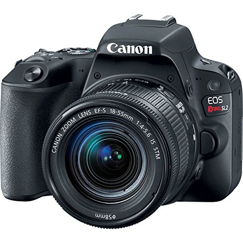 Canon EOS Rebel SL2 DSLR Camera with 18-55mm Lens - Black (Certified Refurbished)