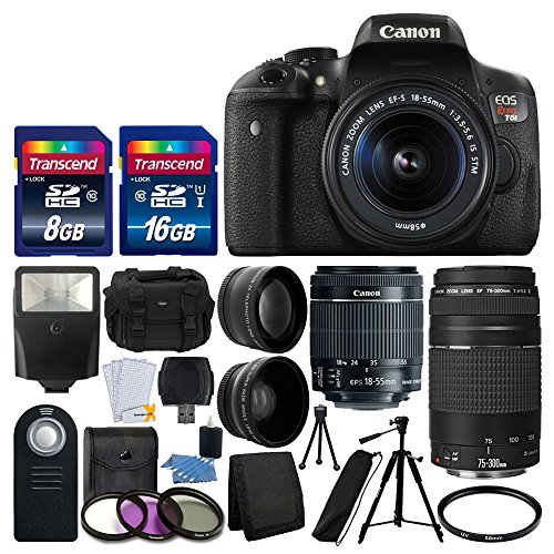 Canon EOS Rebel T6i 24.2MP Digital SLR Camera Bundle with Canon EF-S 18-55mm f/3.5-5.6 IS STM [Image Stabilizer] Zoom Lens & EF 75-300mm f/4-5.6 III Telephoto Zoom Lens and Accessories (18 Items)