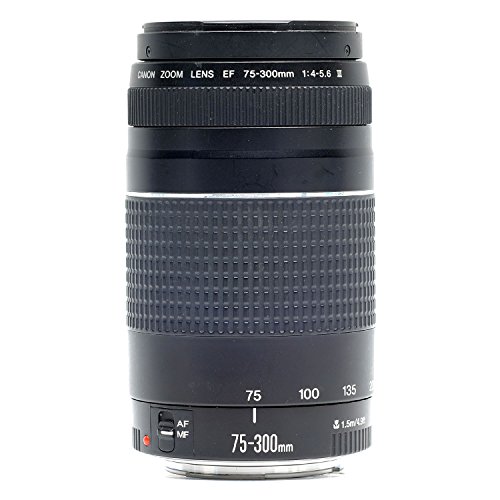 Canon EF 75-300mm f/4-5.6 III Telephoto Zoom Lens for Canon SLR Cameras (Certified Refurbished)