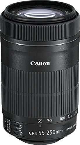 Canon EF-S 55-250mm f/4-5.6 IS STM Telephoto Zoom Lens International Version (No Warranty)