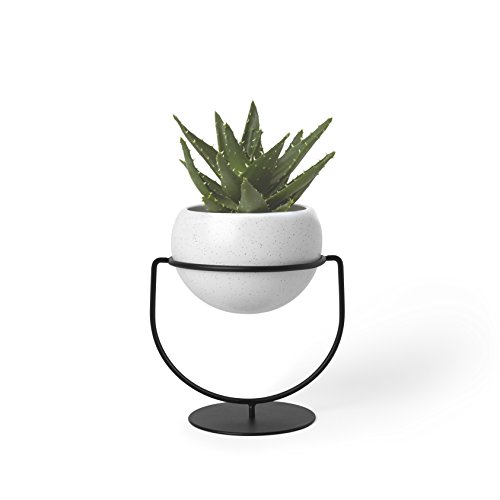 Umbra Nesta, Table Top or Hanging Modern Planter, Ideal Succulent Plant Holder, White/Black